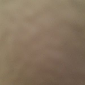 Meet your Posher, Will